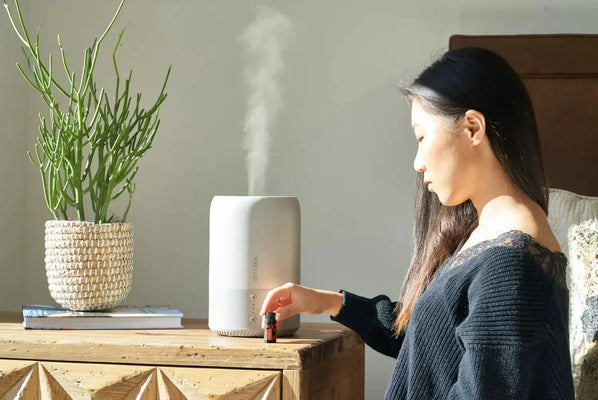 Dry Air No More: Enjoy the Benefits of a Humidifier in Your Home