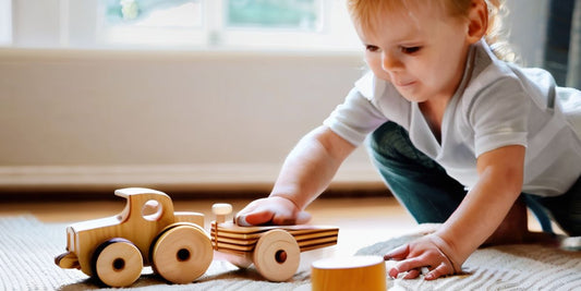 Exploring the Advantages: How Montessori Baby Toys Foster Childhood Development - Home Kartz
