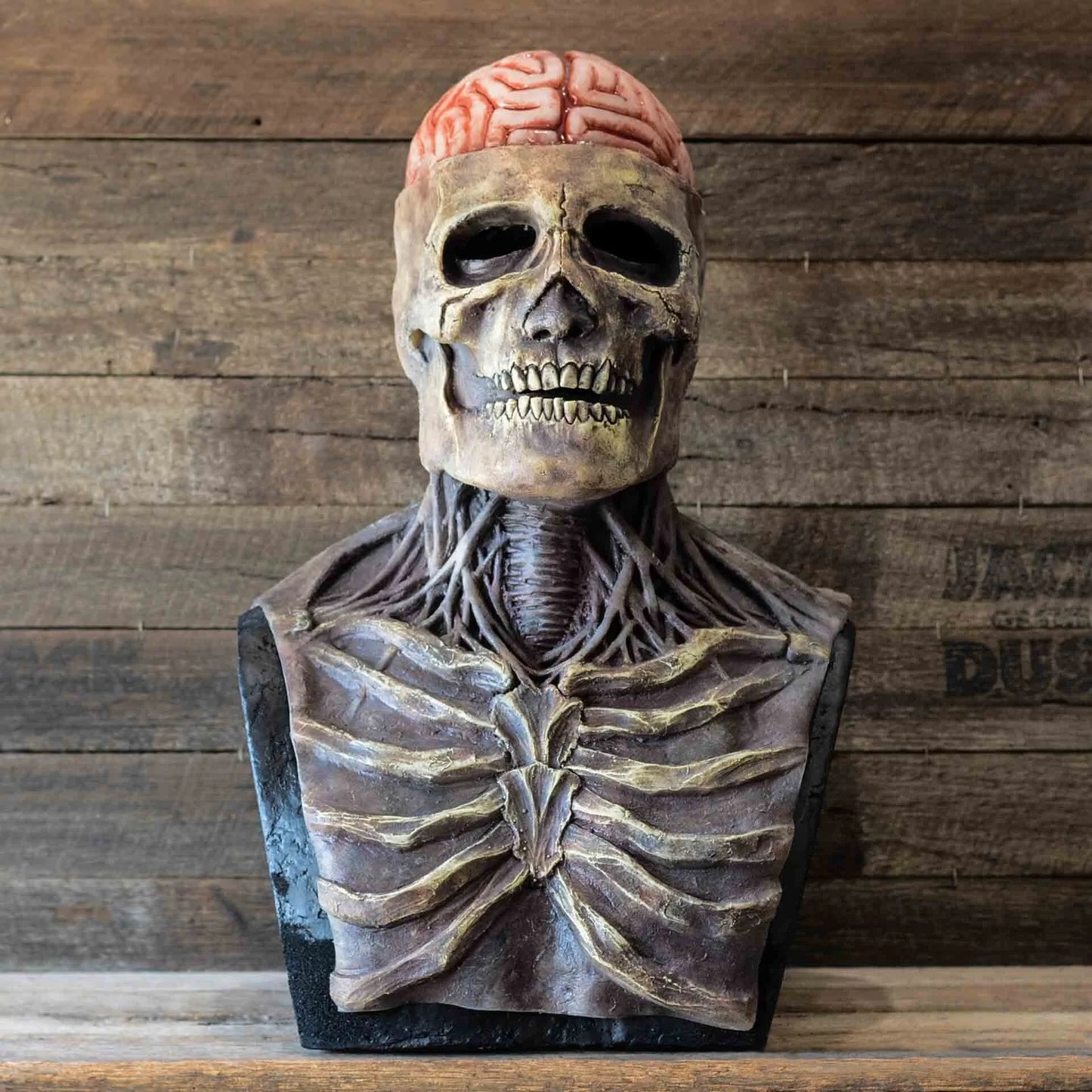 Full Head Skull Skeleton Mask - Realistic Halloween Mask