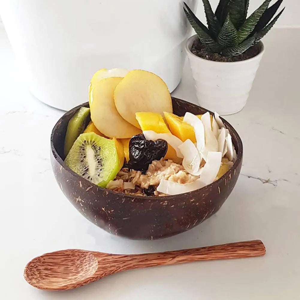 Coconut Shell Food Container Set - Eco-Friendly, Stylish, & Versatile Storage Solution - Home Kartz