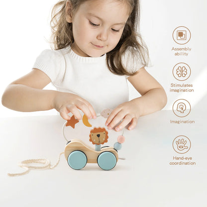 Wooden Montessori Puzzle Toy - Engaging, Educational, and Eco-Friendly Playtime - Home Kartz