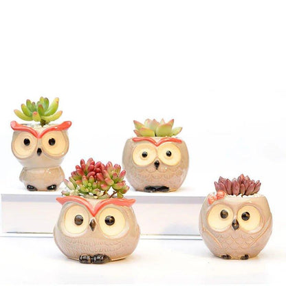 Ceramic Owl - Shaped Planters!