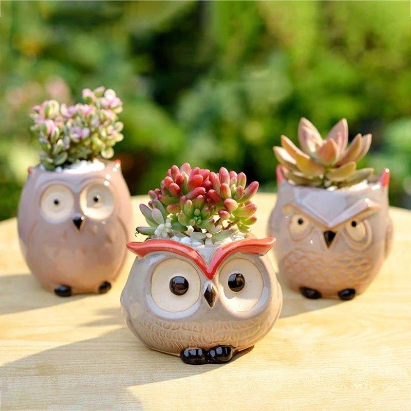 Ceramic Owl - Shaped Planters!