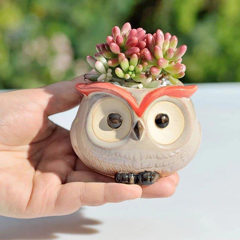 Ceramic Owl - Shaped Planters!