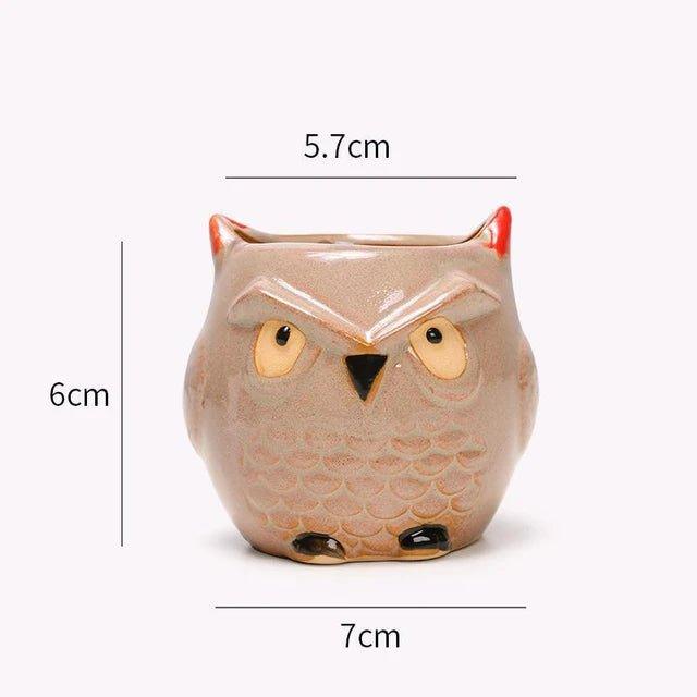 Ceramic Owl - Shaped Planters!