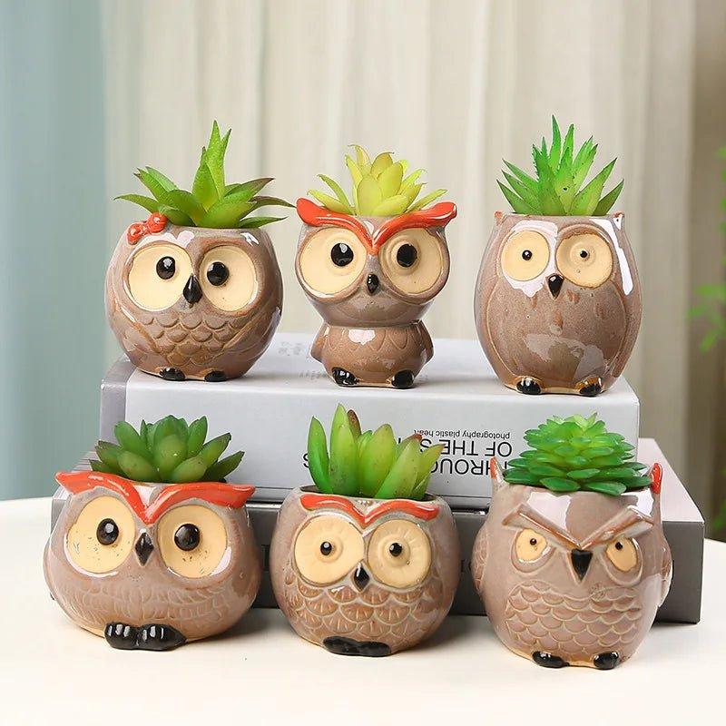 Ceramic Owl - Shaped Planters!