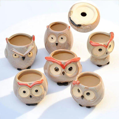 Ceramic Owl - Shaped Planters!