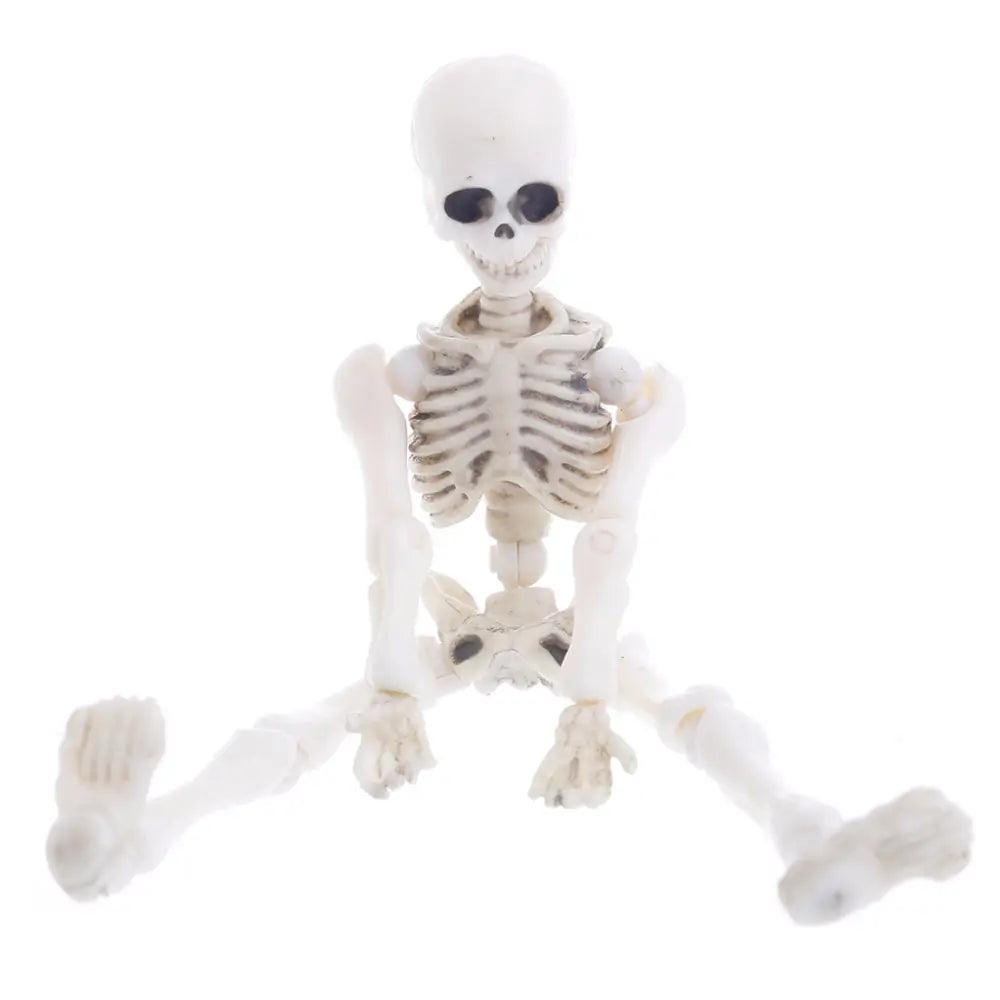 Explore Anatomy with Movable Mr. Bones Skeleton - Fully Articulated, Durable, & Lifelike Skeleton Model