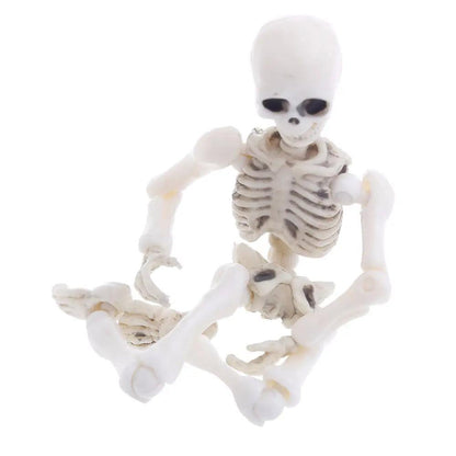 Explore Anatomy with Movable Mr. Bones Skeleton - Fully Articulated, Durable, & Lifelike Skeleton Model