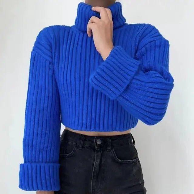 Knit Turtleneck Flare Sleeve Sweater