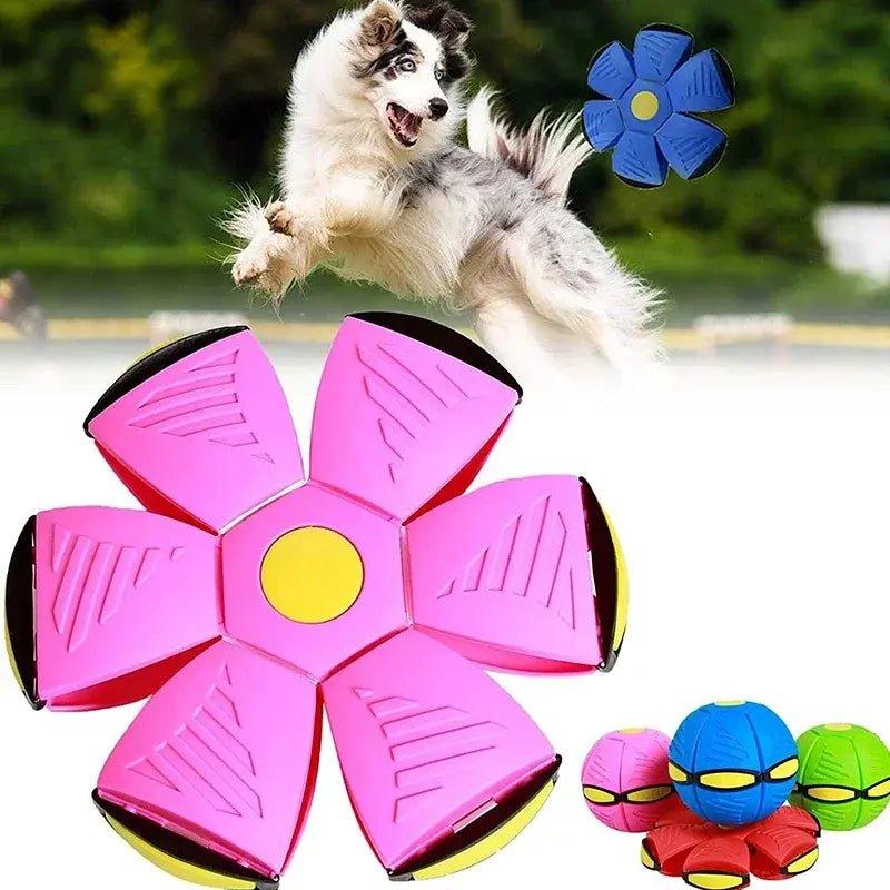 Magic Saucer Fetch Interactive Dog Toy