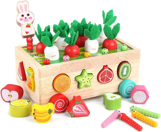 Montessori Garden Shape Sorter