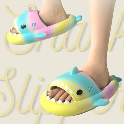 Rainbow Shark Slippers