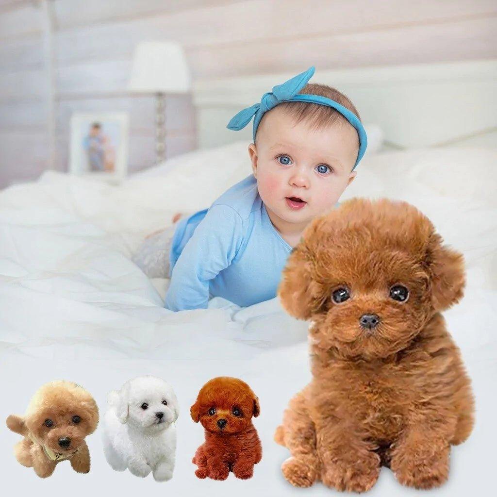 Realistic Teddy Dog Lucky