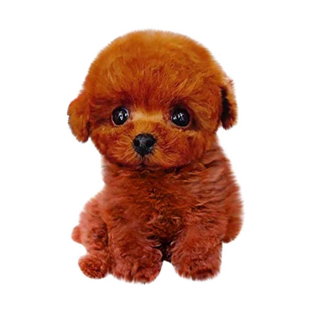 Realistic Teddy Dog Lucky