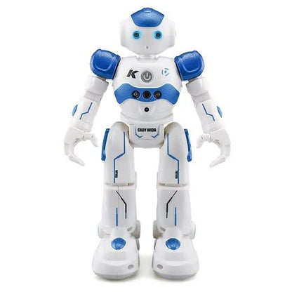 Robot Toy Gesture Control