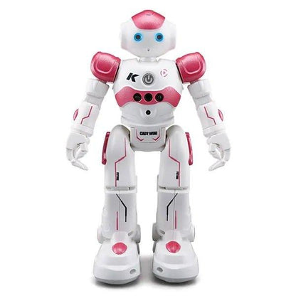 Robot Toy Gesture Control