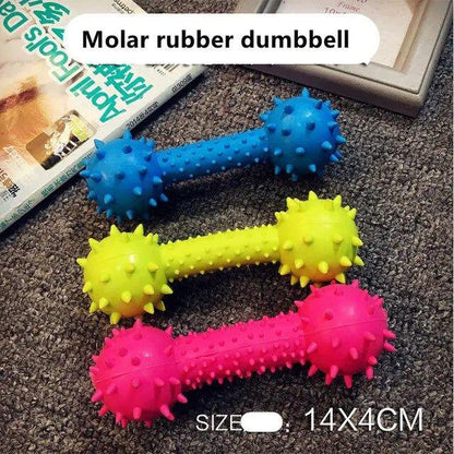 Rubber Squeak Toy