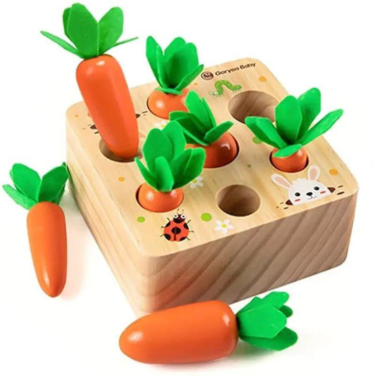 Wooden Toys for Toddlers